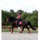 RiderByHorse - tapis platinum - beet red