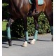 RiderByHorse- bandes polaire platinum - dark ivy