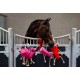 HB - horse toy pink carotte