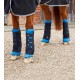 Premier equine - Magnetique stable boots bi polar