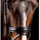 Mrs Ros - Bridon knight power - noir