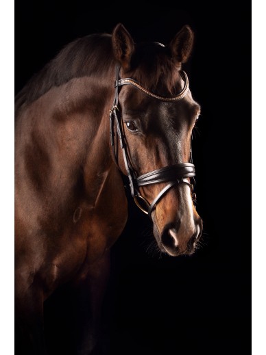 Mrs Ros - Bridon knight power - noir