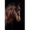 Mrs Ros - Bridon knight power - noir