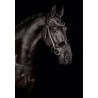 Mrs Ros - Bridon glitter noir
