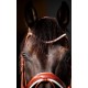 HB - bridon Ulani cognac