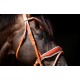 HB - bridon Ulani cognac