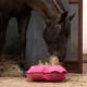 Heica - Fluffy feeder 6CM