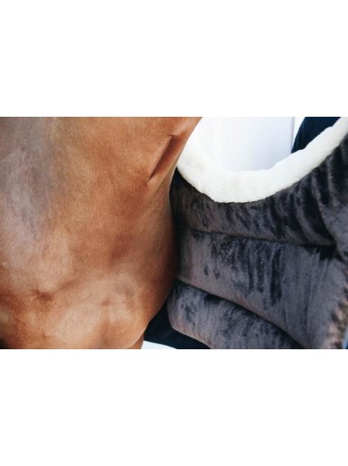 Kentucky - Horse bib winter