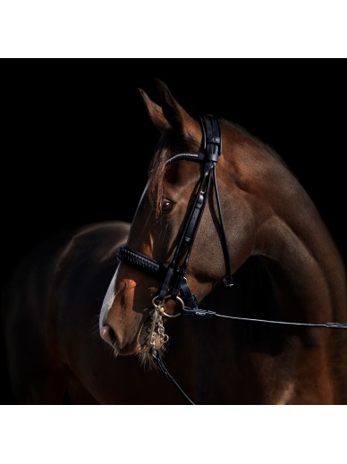 Utzon Equestrian - Bride Olympic - noir/gold