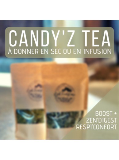 Candy'z Horse - candy'z tea - zen digest