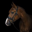 Utzon Equestrian - Bridon Copenhagen - noir /silver