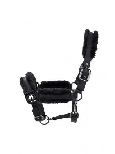Cavallo - licol hafida - noir
