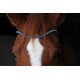 Js horsemades - frontal bermuda blue