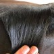 Hairy Pony - tube cire pour nattage