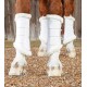 Premier equine - Guetres techno wool - blanc