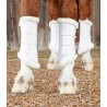 Premier equine - Guetres techno wool - blanc