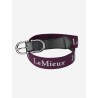 LeMieux - Ceinture elastique - fig