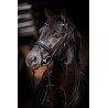 HB - bridon Evalira - strass bleu/noir