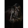 Mrs Ros - licol diamond deluxe movie star - noir