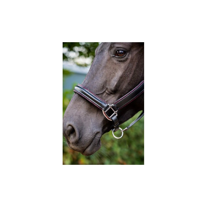 Licol cuir anatomic strass rosegold, cheval, poney, ajusté et élégant