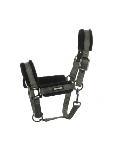 Cavallo - licol Cavaljany - olive