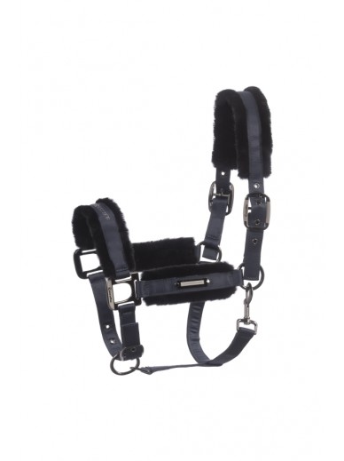 Cavallo - licol Cavaljany - midnight grey