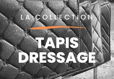 TAPIS DRESSAGE